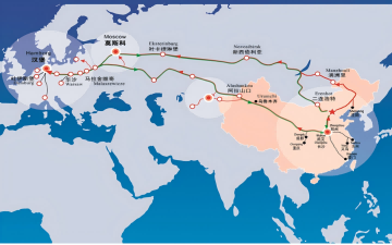 What Are The Applications Of Color Sorting Machines In The Food Processing Industry?