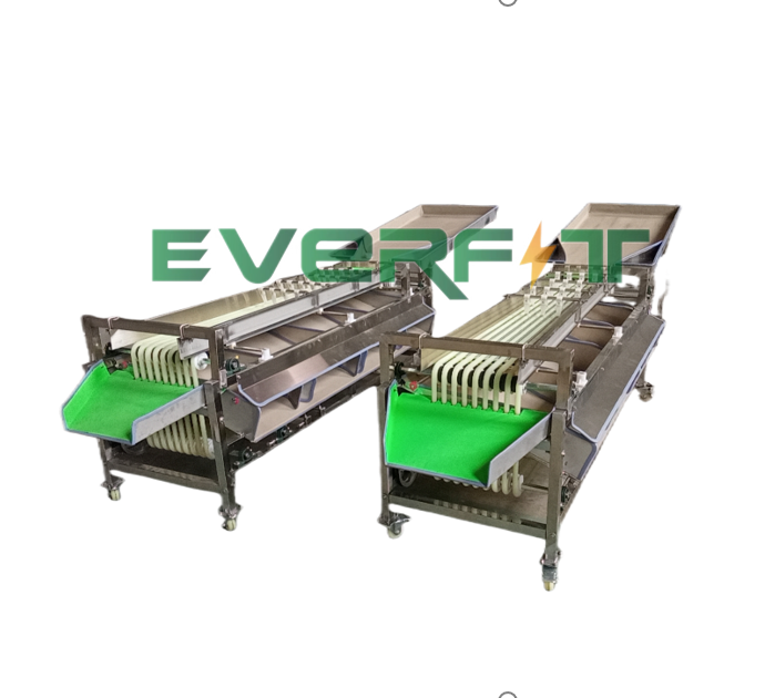 Fruit production and processing