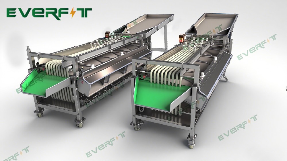 Date sorting machine